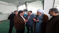 بازدید بازرس‌کل استان خراسان رضوی از شهرک صنعتی خیام در شهرستان زبرخان